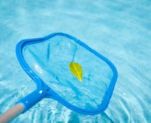 swimming-pool-leaf-net-ss